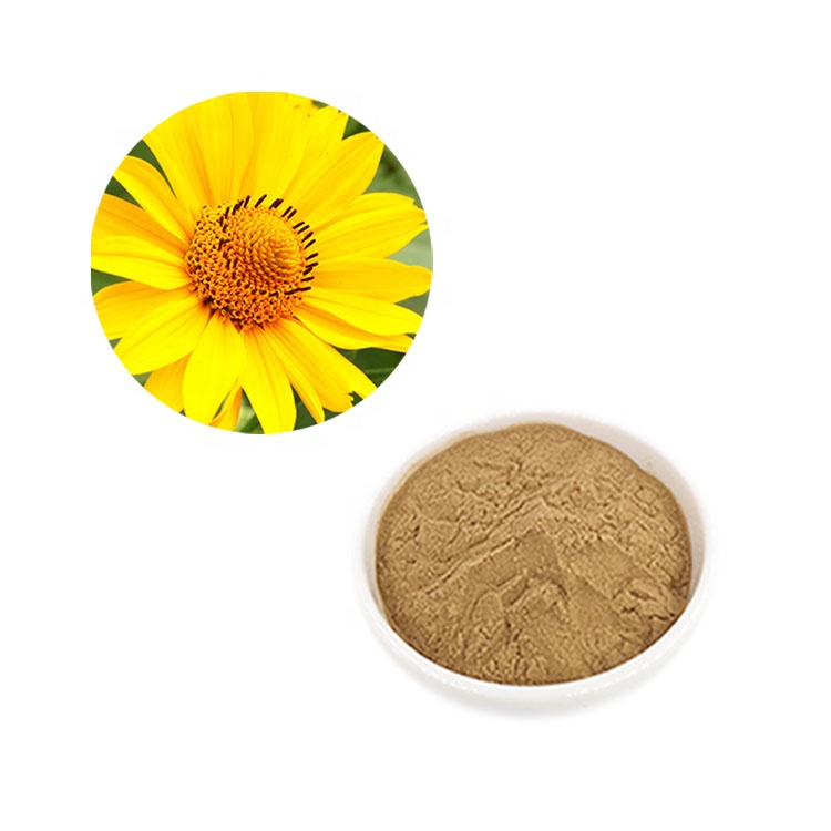 Арника горная гомеопрепарат. Arnica montana extract. Арника без фона. Арника альпийская. Arnica montana extract.