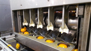 Leadworld Fruit Peeling <strong>Machine</strong> <strong>Orange</strong> Peeler <strong>Machine</strong> - Product Image 2