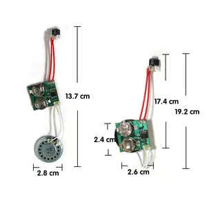 Modul Suara Chip Ic Rekaman Suara Musik Pra-rekam Ukuran Kustom