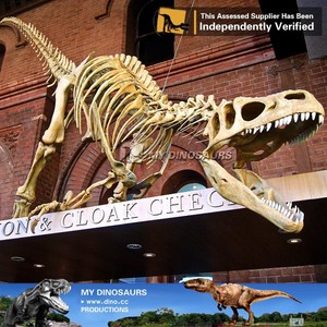 My <span class=keywords><strong>Dino</strong></span> AA645ขนาดชีวิตโครงกระดูกไดโนเสาร์สีทอง <span class=keywords><strong>Trex</strong></span> สำหรับจัดแสดง - Product Image 3