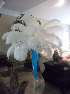 Plumes d'autruche blanches, décoration de mariage, 12 pièces - Product Image 2