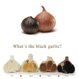 新的易于操作的家庭使用黑色大蒜发酵器制作黑色大蒜 - Product Image 4