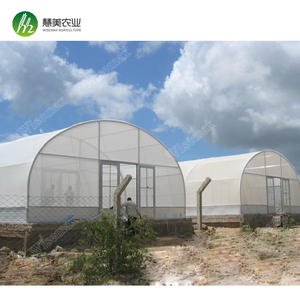 <span class=keywords><strong>2025</strong></span> <span class=keywords><strong>Kits</strong></span> de grande serre de haute qualité Tunnel en acier galvanisé à chaud avec matière plastique verte PE - Product Image 3