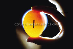 Máquina para Probar la Viabilidad de Huevos, Incubadora, Probador de Huevos, Linterna para Huevos, Repuestos para Incubadora - Product Image 2