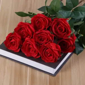 Einzelne echte Touch Royal Rose Blume künstliche Rosen für zu Hause Hochzeits dekoration