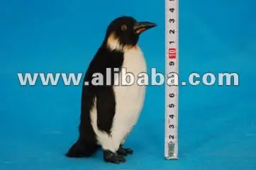 penguin handicrafts,gifts,plush toy for kids