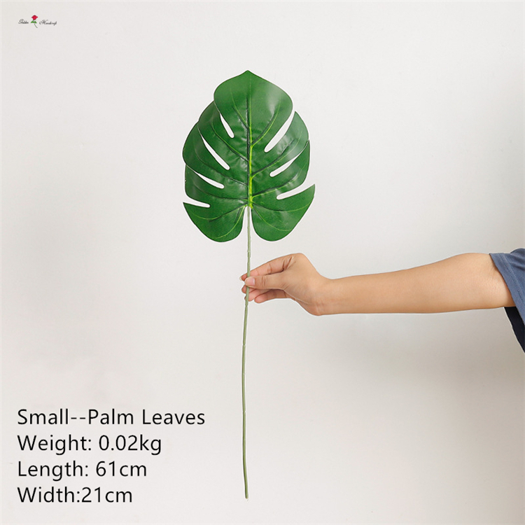 Small Palm Leaves