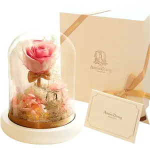Rose éternelle sous dôme de verre, fleur préservée, pour la saint-valentin, nouveau Design, pour la saint-valentin, 2019 - Product Image 1