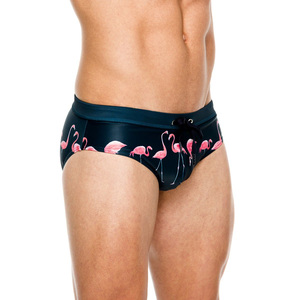 Maillot de bain pour homme, slip de bain pour homme, slip de bain flamant rose, bikini taille basse, poche pour pénis, maillot de bain homme, maillot de bain sexy, short de surf - Product Image 2