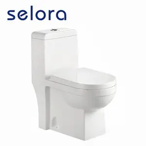 Foshan Cina Keramik Saniter Washdown Roca Kamar Mandi One Piece Toilet