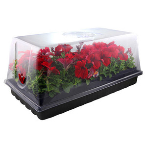 Pot de démarreur pour plantes de jardin, bac pour pépinière, boîte avec dôme - Product Image 1