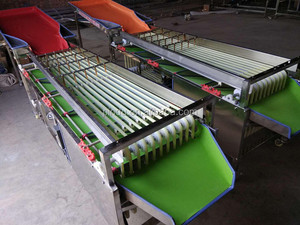 Machine <span class=keywords><strong>de</strong></span> triage <span class=keywords><strong>de</strong></span> fruits/cerises/tomates à <span class=keywords><strong>vendre</strong></span>, approvisionnement d'usine <span class=keywords><strong>de</strong></span> haute qualité - Product Image 6