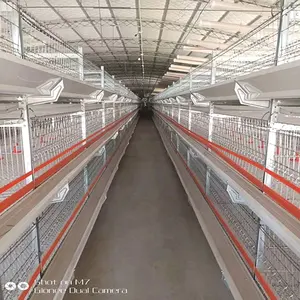 El mejor vendedor de tipo H comercial totalmente automático de País de las gallinas ponedoras casas jaula sistema aves de corral equipo gallineros