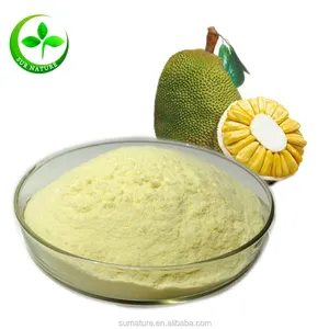 High quality organic dried frozen jackfruit powder/dried jackfruit powder