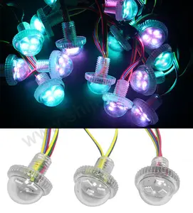 Custom 12V WS2811 Pixel Light Decoration LED DMX Dot Light Source Playground Equipment Lighting Trimming 5050smd RGB