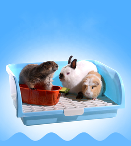 <span class=keywords><strong>Toilette</strong></span> <span class=keywords><strong>pour</strong></span> animaux domestiques, <span class=keywords><strong>lapin</strong></span>, <span class=keywords><strong>toilette</strong></span>, nouveau design, vente en gros, livraison gratuite - Product Image 1