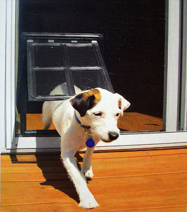 स्क्रीन खिड़की पालतू दरवाजा - Product Image 3