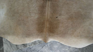 Cow Hide Rug - Product Image 4