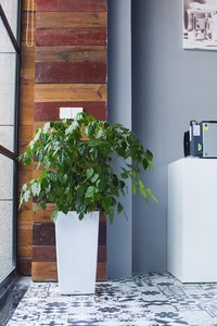 इनडोर सजावट फूल लंबा फूलदान बड़ी मंजिल vases बिक्री रोशन बड़े फूल vases - Product Image 5