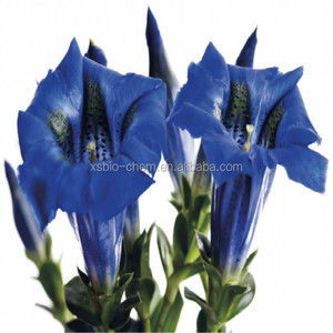 GMP <span class=keywords><strong>Kosher</strong></span> Tự Nhiên Cây Khổ Sâm Chiết Xuất Từ rễ CAS: 20831-76-9 - Product Image 6