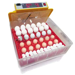 Incubadora de 72 huevos para pollo, pato, ganso y pavo, completamente automática