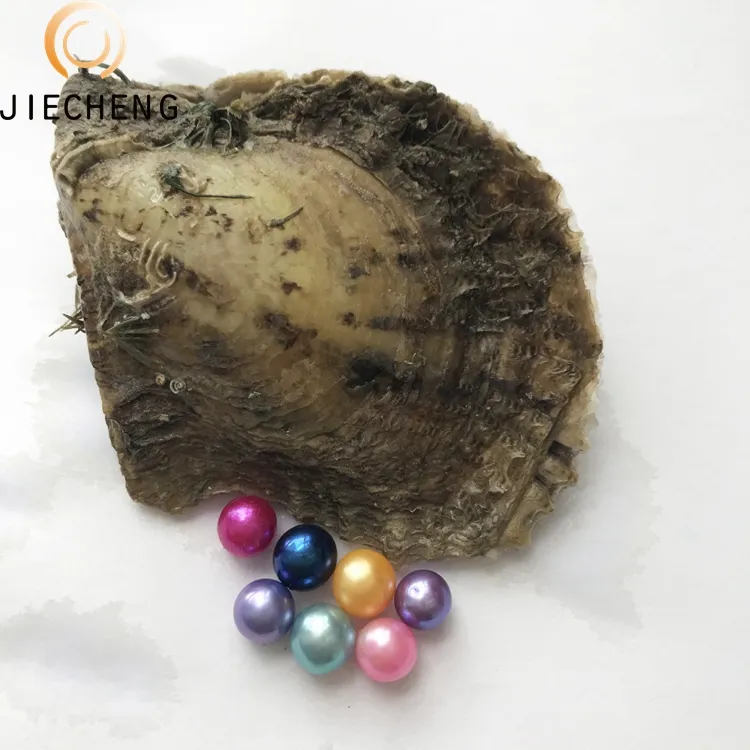 6-7mm commercio all'ingrosso akoya naturale desiderio di acqua salata oyster perla rotonda