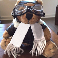 Ours en peluche, uniforme personnalisé, jouet de pilote avec verre,