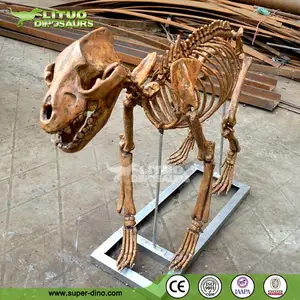 史前动物骨骼模型待售