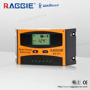 RAGGIE 10A 12V 24V เครื่องควบคุมการชาร์จพลังงานแสงอาทิตย์ขนาดเล็กราคาถูกพร้อมการรับประกัน