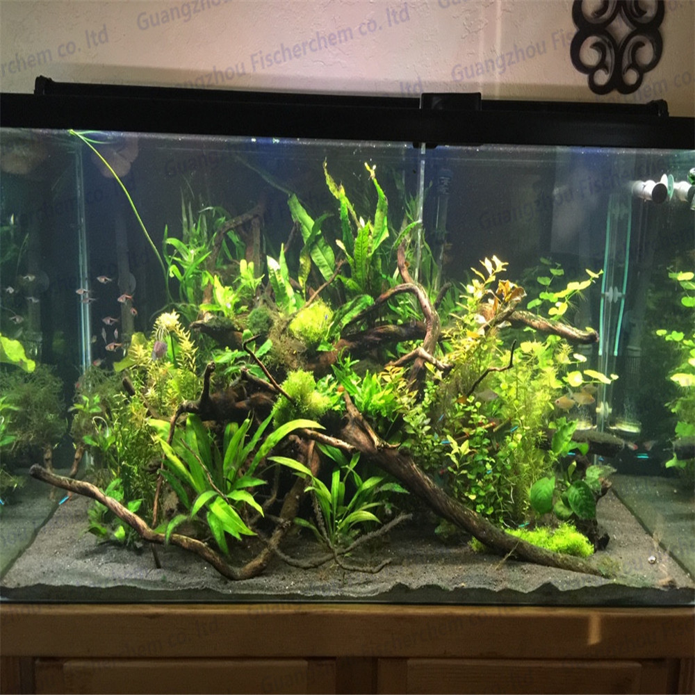 Driftwood Spider Wood for Planted Tanks - Sustainable Decor