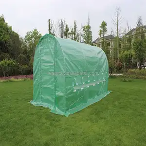 トッププロデューサーPolytunnel Venlon私は温室のための最高の温室トマト種子を販売します