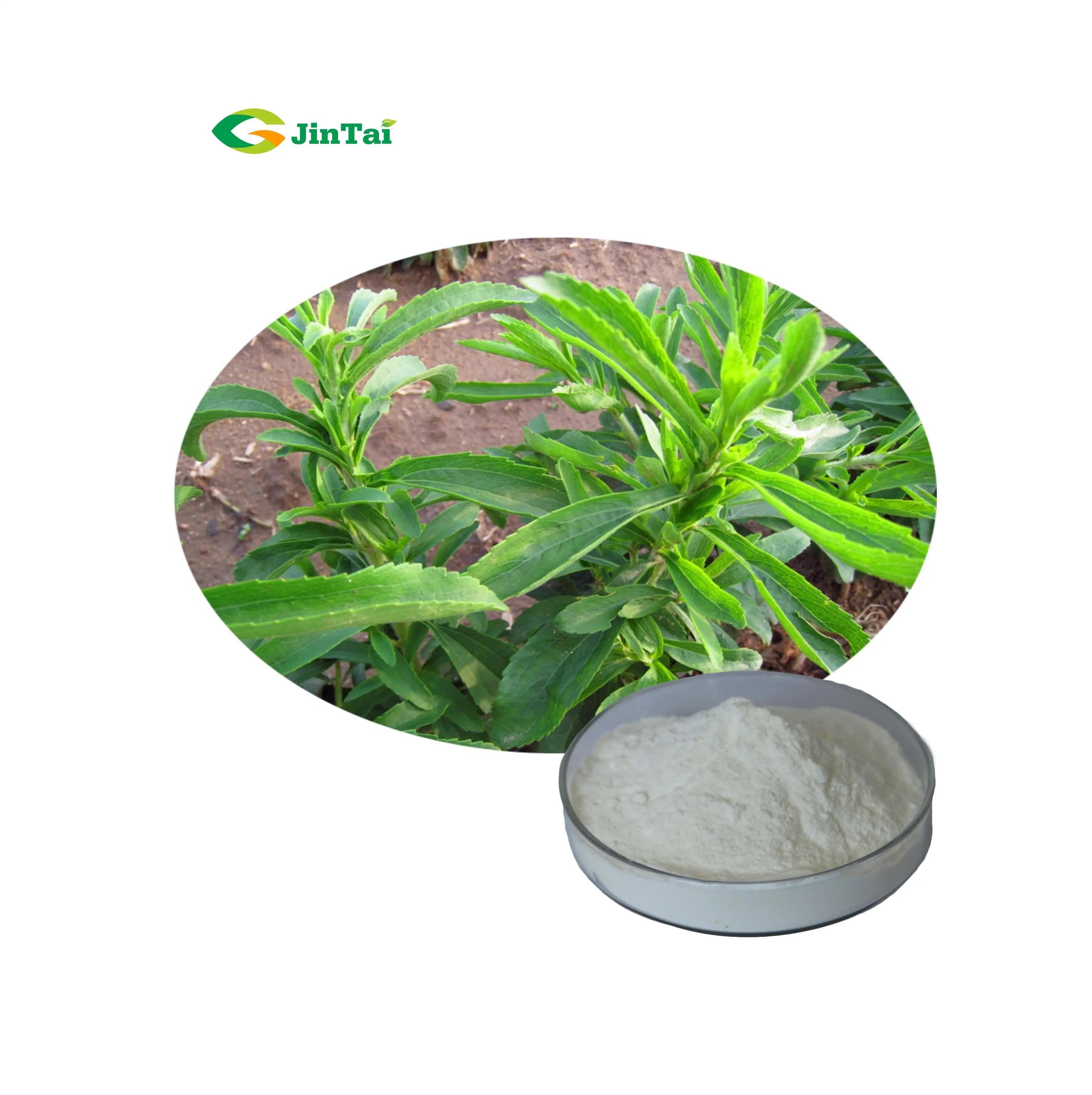 100% Puro Estratto di Stevia In Polvere Rebaudioside A Stevioside RA 98%