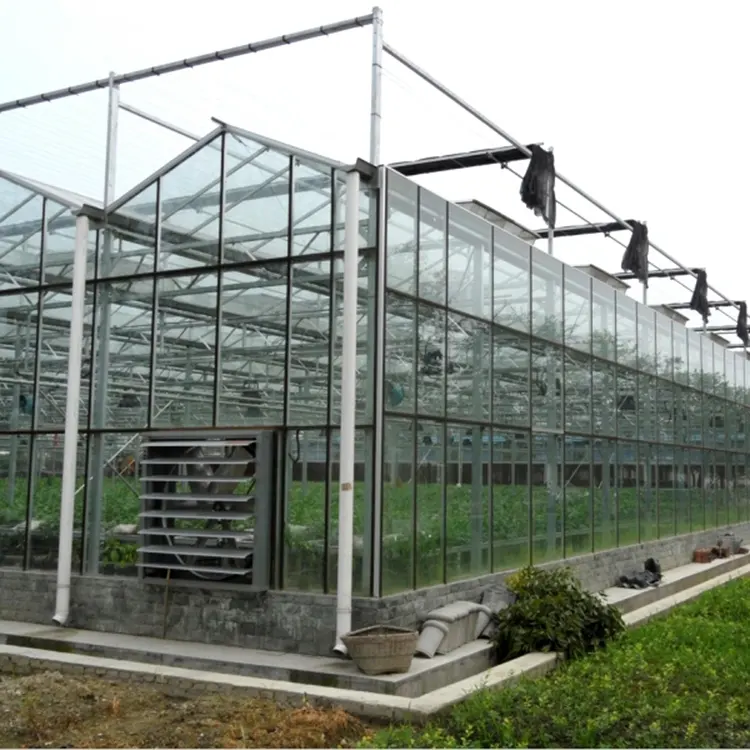 Skyplant גבוהה באיכות Venlo זכוכית חממות
