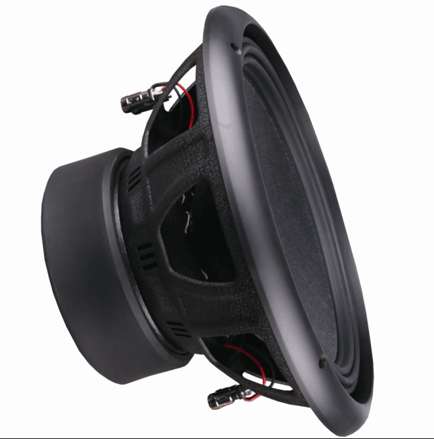 Double Magnet 10 Inch Dual 2 Ohm / 4 Ohm Car Audio Subwoofer Speaker