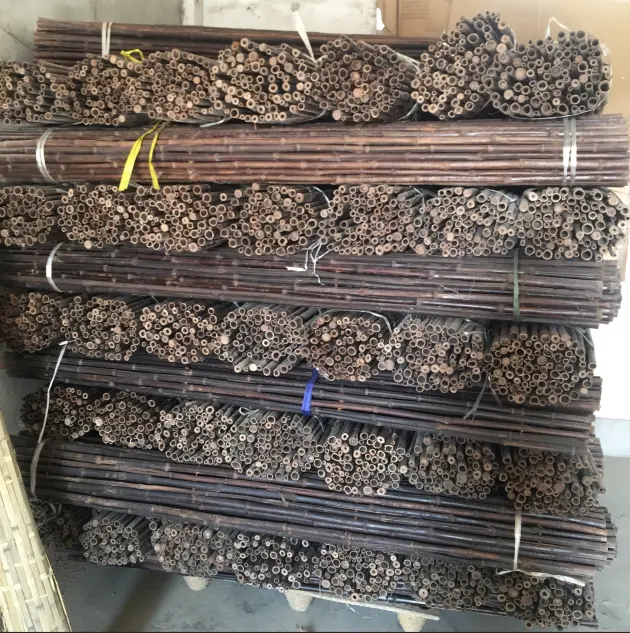 Bamboo Poles manufactures for garden plant tonkin bamboo