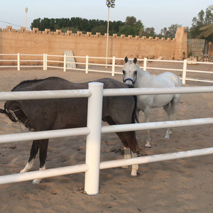 De plástico de PVC tubo redondo <span class=keywords><strong>Post</strong></span> y carril caballo valla para granja Paddock pista de carreras de ecuestre de ganado - Product Image 3
