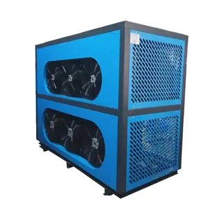 China Marca famosa 1000CFM hankison secador de aire con filtro para la venta