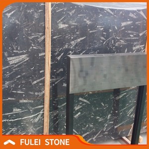 Pulido fósiles mármol negro con vetas blancas precio losas - Product Image 3