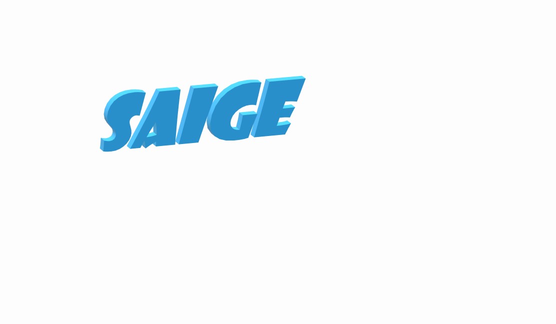 Hangzhou Saige Commerce Co., Ltd. logo