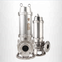 Pompes submersibles pour eaux usées 1 CV, pompe à boue acide, pompe submersible en acier inoxydable pour l'égouttage des usines