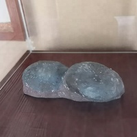 Modelo de Esqueleto de Dinosaurio Simulado y Fósil de Excavación con Fibra de Vidrio para Parques de Aventura Interiores