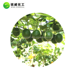 Doğal Luo Han Guo <span class=keywords><strong>Mogrosides</strong></span> <span class=keywords><strong>80%</strong></span> Mogroside V 30% Tozu Keşiş Meyve Özü - Product Image 2