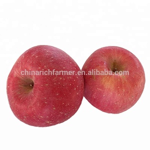 Trung Quốc Tươi Blush Red <span class=keywords><strong>Fuji</strong></span> Táo Trái Cây Xuất Khẩu Sang Thị Trường Ấn Độ - Product Image 4