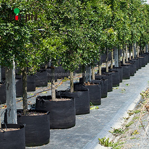 Lowes prix 100 gallon tissu pépinière tomate de pommes de terre jardin estimé suspendus sacs de croissance - Product Image 6