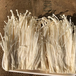 Detan fresca Enoki/Nombres de hongos comestibles - Product Image 2