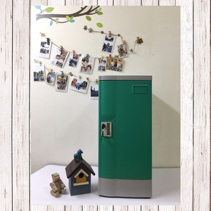 L size ABS SP1 Plastic Locker with key lock - Product Image 1