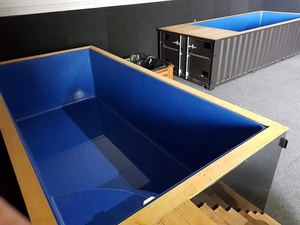 Nouveau 20GP Conteneur <span class=keywords><strong>Piscine</strong></span> À Vendre et contenedor piscina - Product Image 2