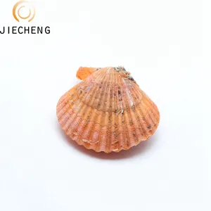 Hot sale freshwater natural cultured love wish 6-8mm nearly round dyed pearl oysters bulk in oyster shell for DIY Jewelry