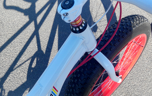 Bicicletta <span class=keywords><strong>tandem</strong></span> a due posti con pneumatici fat da 26*4.0, modello Surrey. - Product Image 3