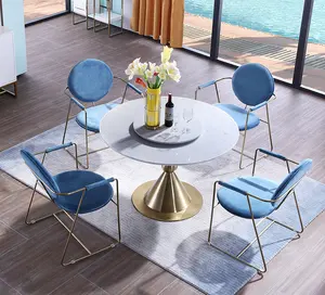 全新北欧设计餐厅家具优雅天鹅绒软垫餐椅，带金属框架不锈钢餐椅